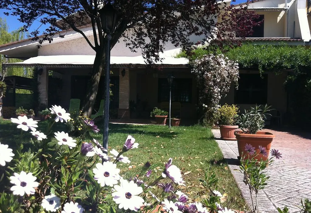 L'albero Del Pepe-1