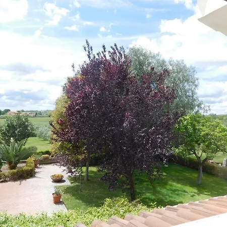 L'albero Del Pepe-3